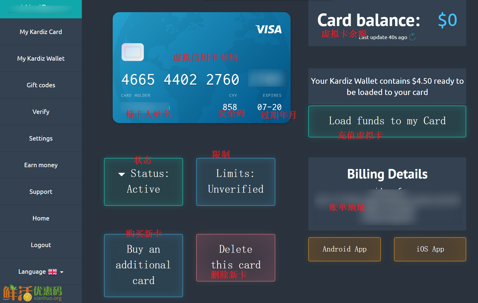 虚拟visa卡_虚拟卡购买平台visa_visa虚拟信用卡