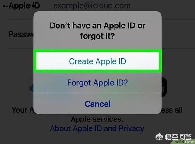 ipad苹果商店无法登录_苹果ID在商店无法登录_苹果id无法登录错误5001