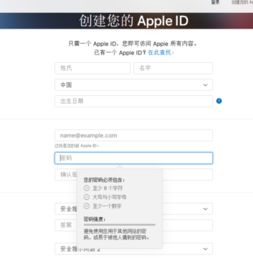 苹果手机的ID是什么格式?