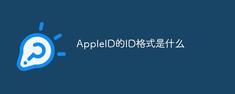 苹果id的账号输入格式_苹果id格式_苹果id注册格式
