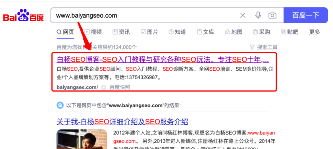 百度seo课程_百度 seo 谷歌 seo_百度seo百度seo首页