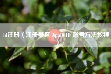 id注册（注册美区 Apple ID 账号方法教程）