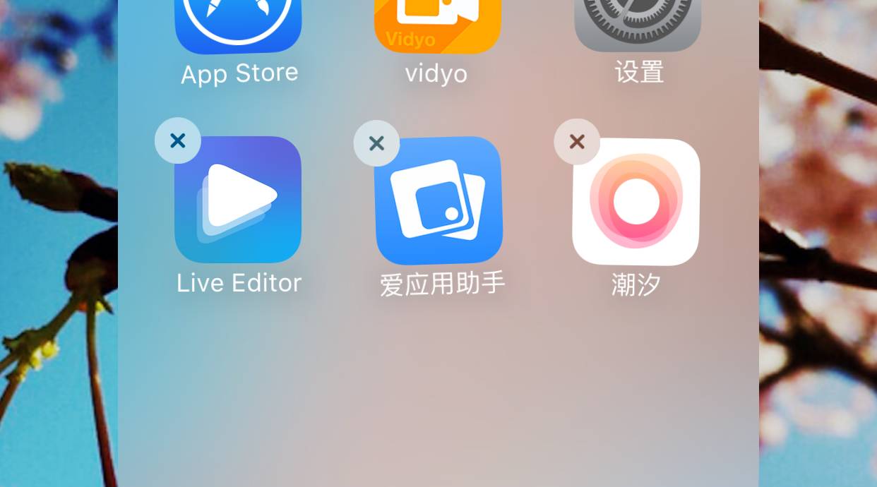 app store账号冻结_app store账号密码大全_app store免费账号大全