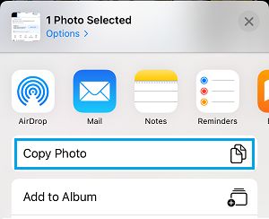 iPhone 照片应用程序中的复制照片选项