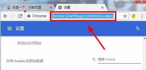 Google Chrome导入COOKIE步骤截图6