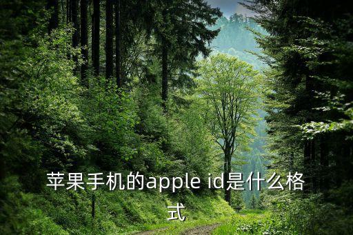 苹果手机的apple id是什么格式